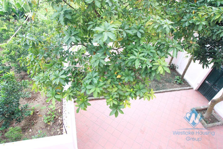 Beautiful house with nice garden for lease in Au co st, Tay Ho District